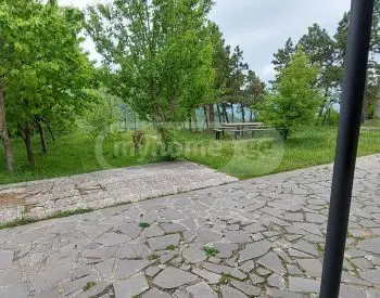 6 Room Country House Daily Rent In Saburtalo view 4