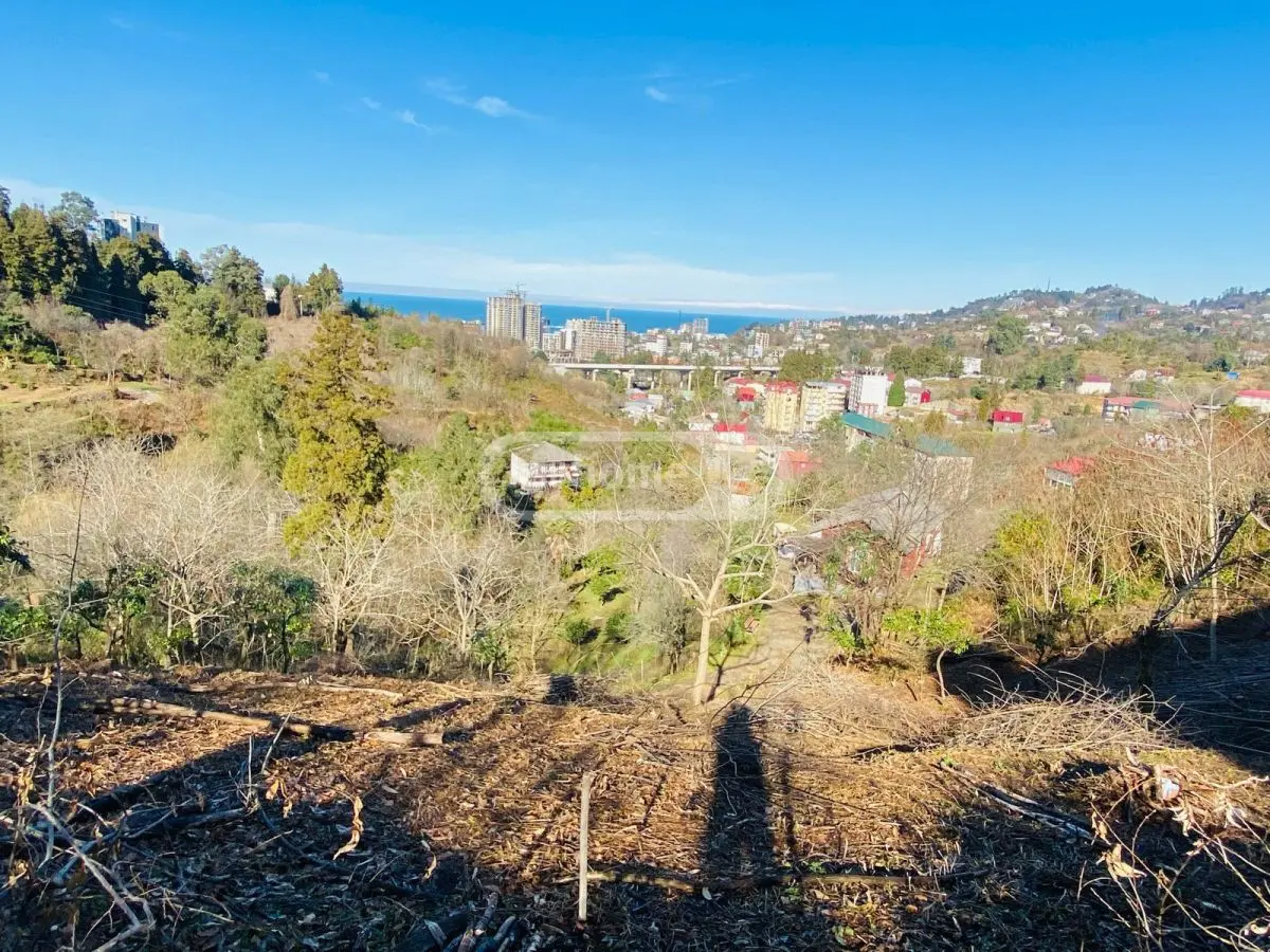 Agricultural Plot For Sale In Makhinjauri, In Batumi view 1