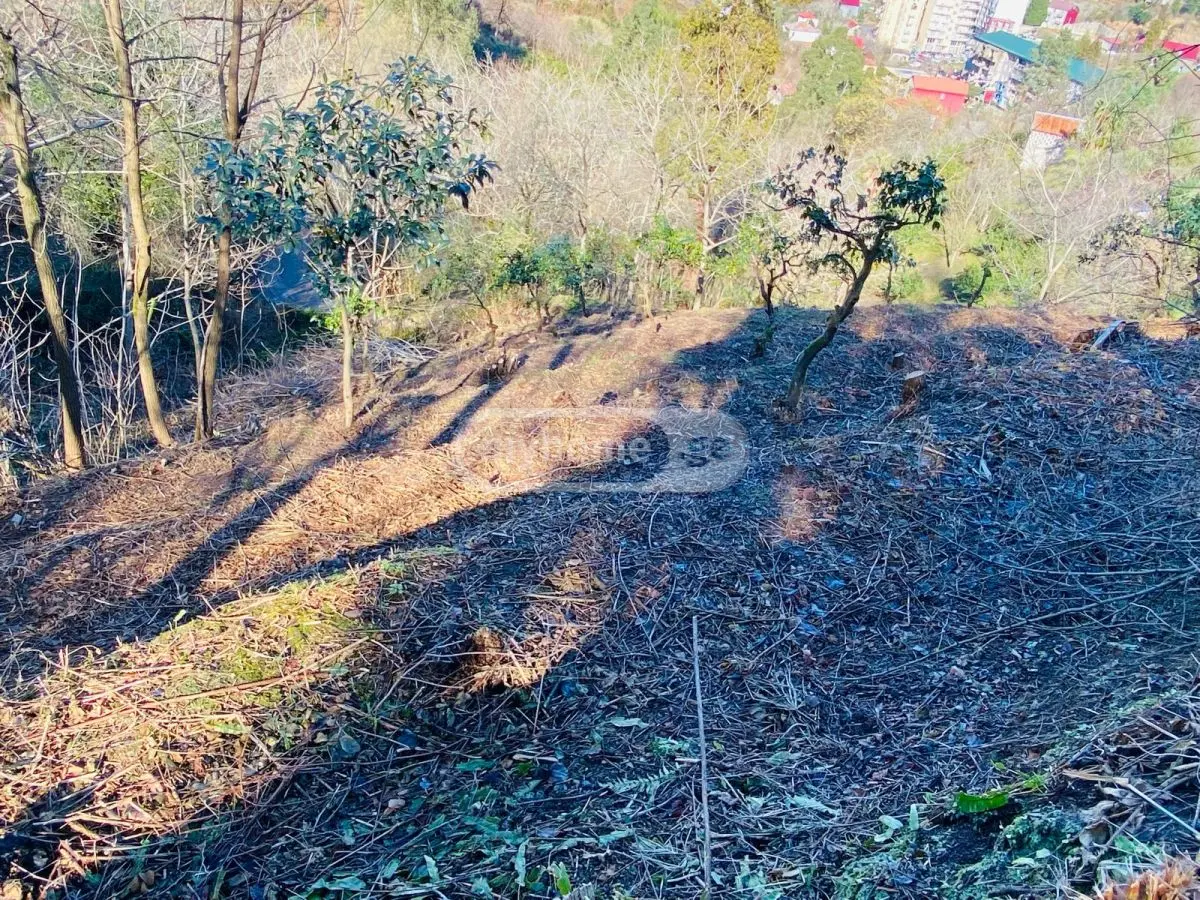 Agricultural Plot For Sale In Makhinjauri, In Batumi view 4