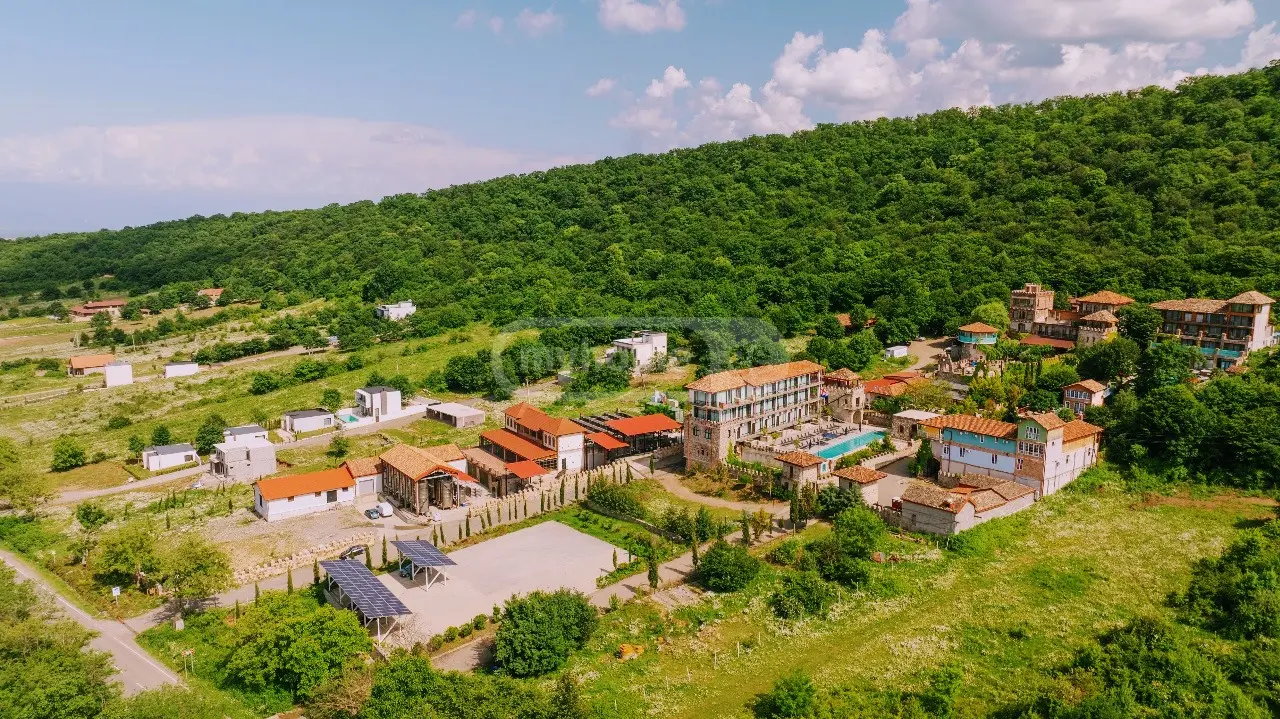 3 Room Country House For Rent In Telavi view 3