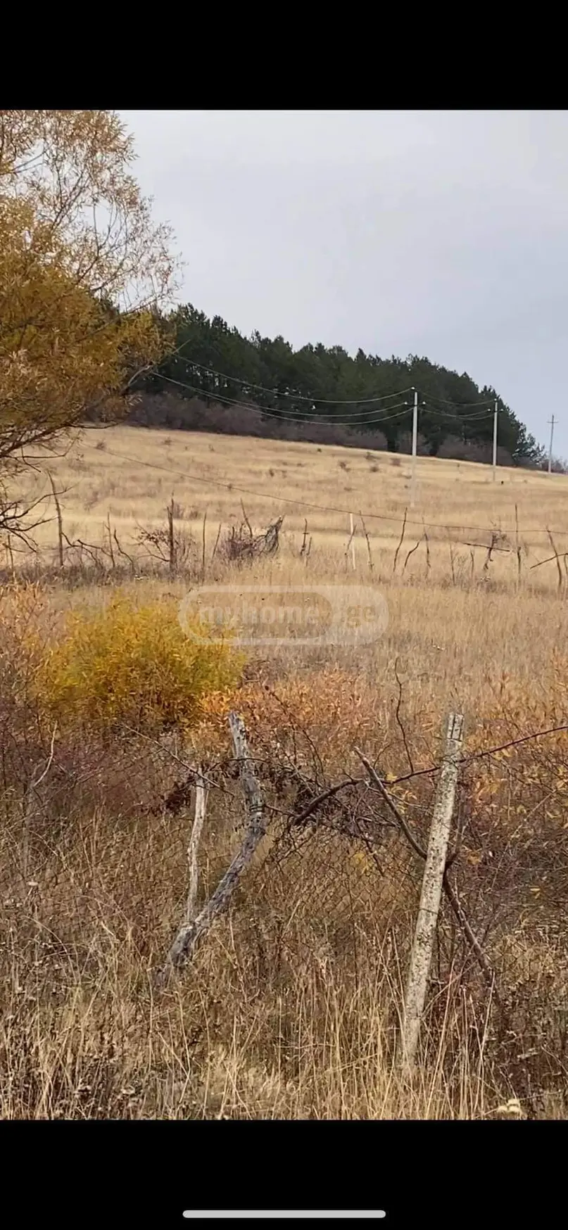 იყიდება Agricultural Plot In Dushetiში view 4