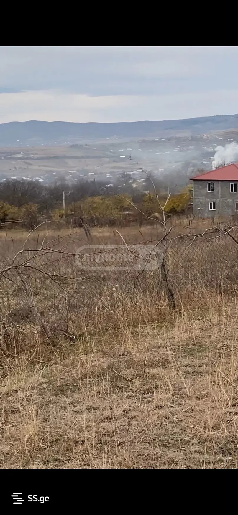 იყიდება Agricultural Plot In Dushetiში view 3