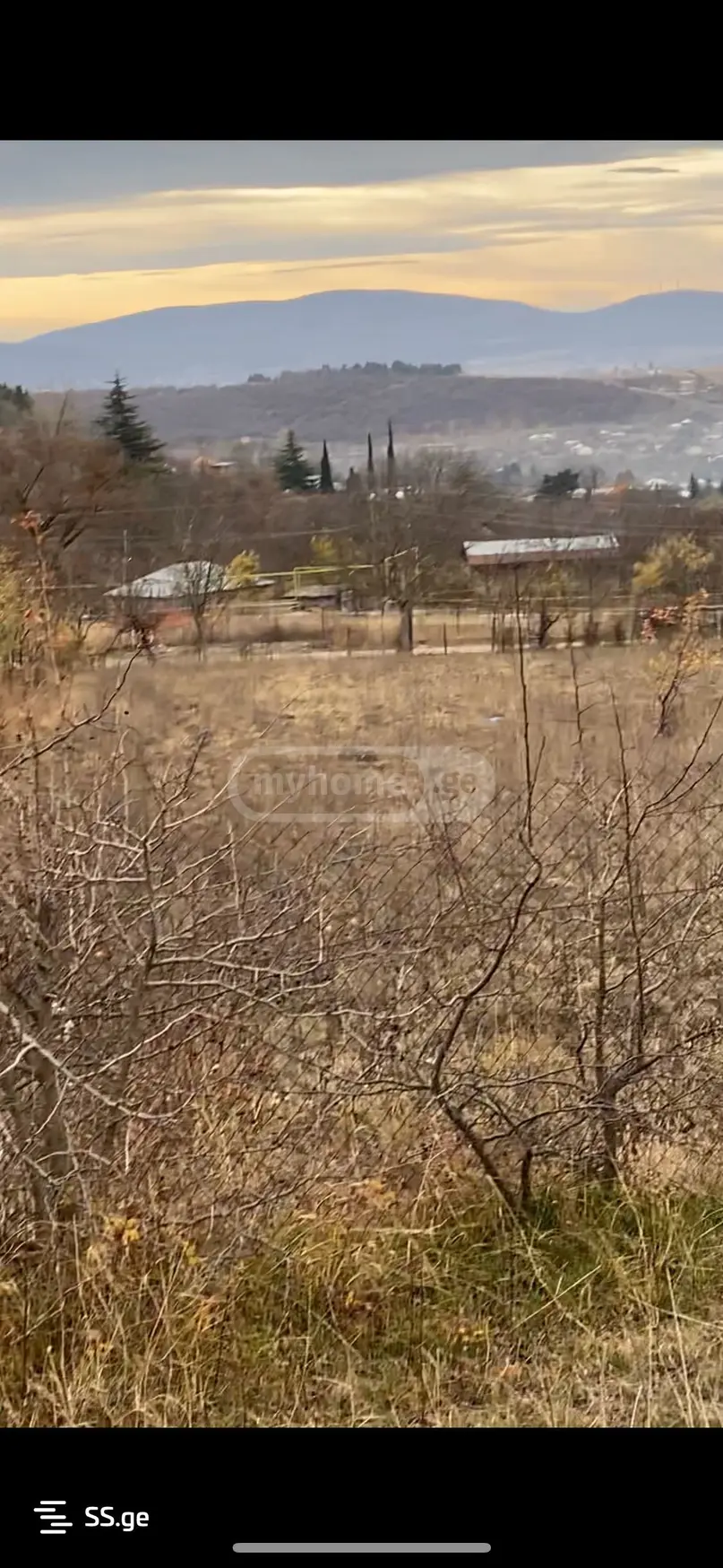 იყიდება Agricultural Plot In Dushetiში view 6