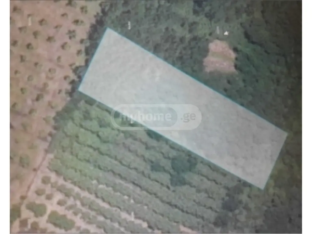 იყიდება Agricultural Plot In Tsaishi, In Zugdidi Municipalityში view 1