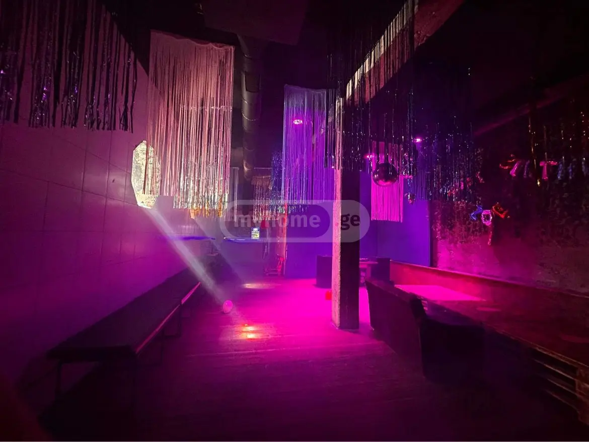 Universal Commercial Area Daily Rent In Vake view 7