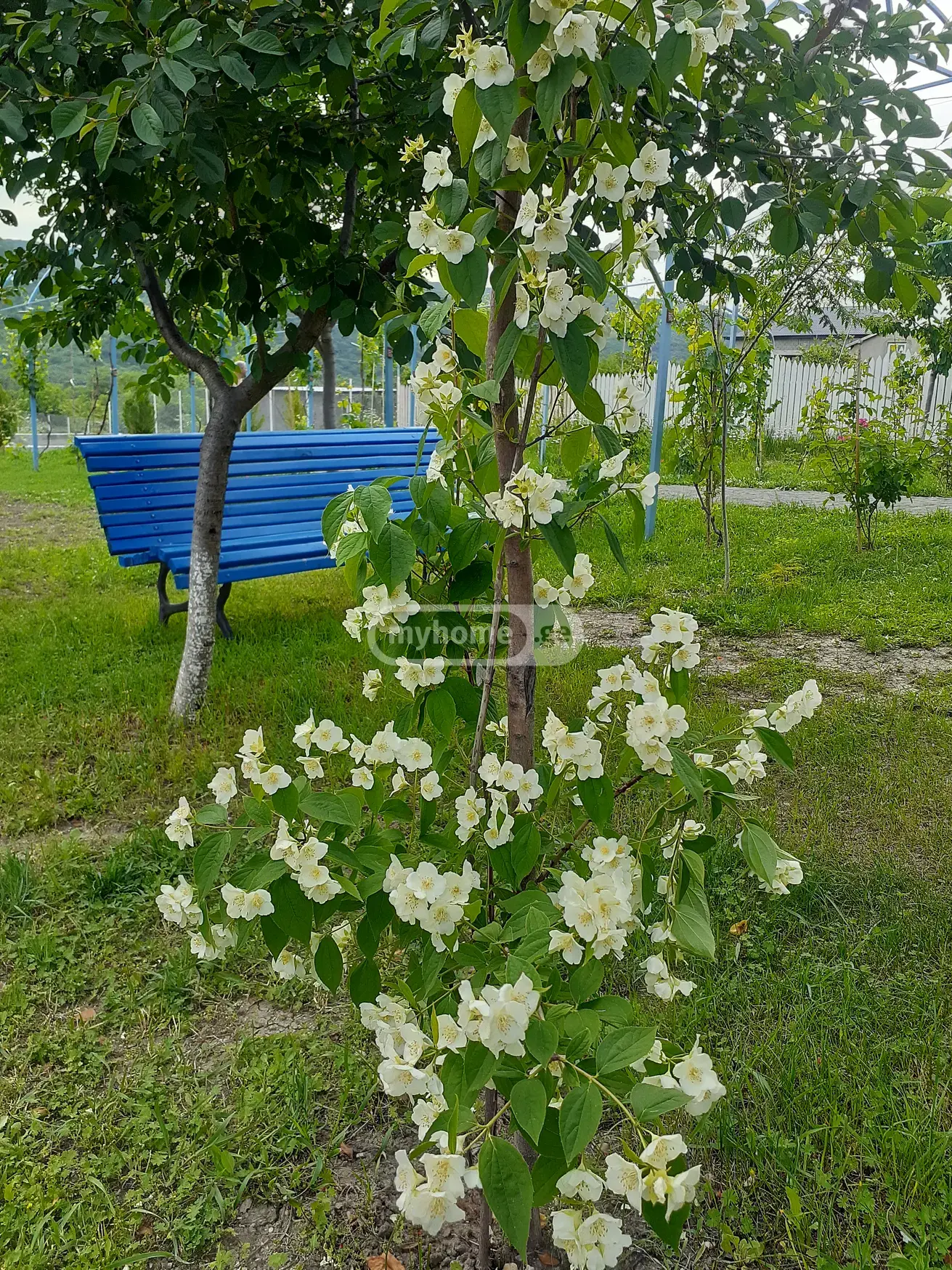 7 Room Country House For Rent In Bulachauri, In Dusheti Municipality view 2