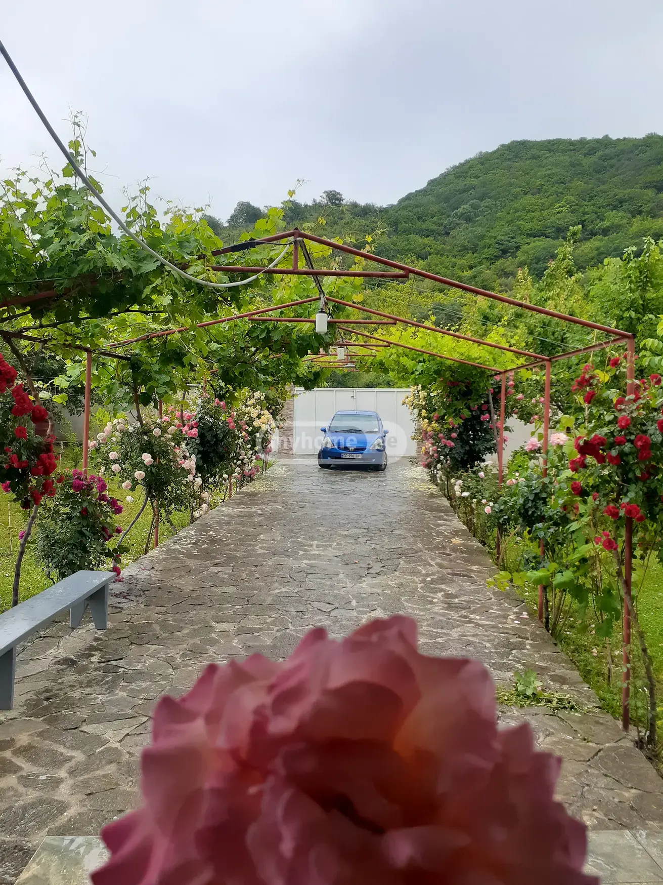 7 Room Country House For Rent In Bulachauri, In Dusheti Municipality view 3