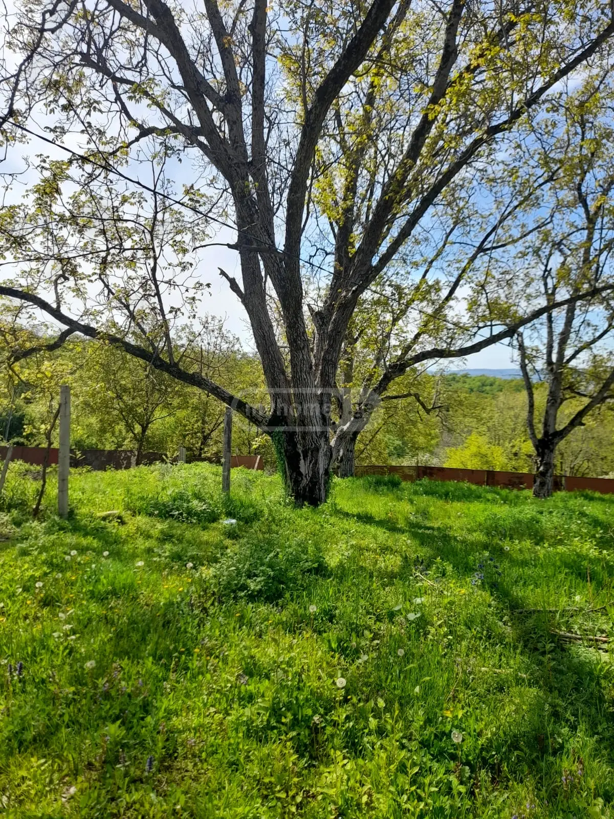 3 Room Private House For Sale view 10