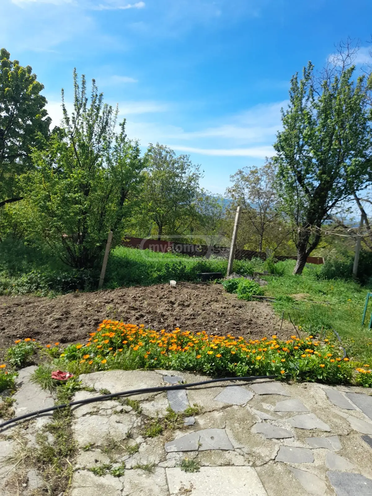 3 Room Private House For Sale view 9