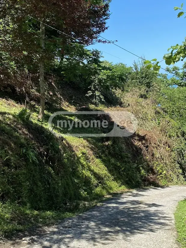 Agricultural Plot For Sale In Makhinjauri, In Batumi view 5