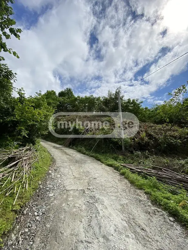 Agricultural Plot For Sale In Makhinjauri, In Batumi view 6