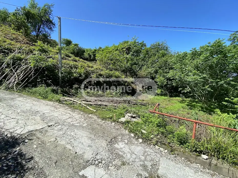 Agricultural Plot For Sale In Makhinjauri, In Batumi view 7