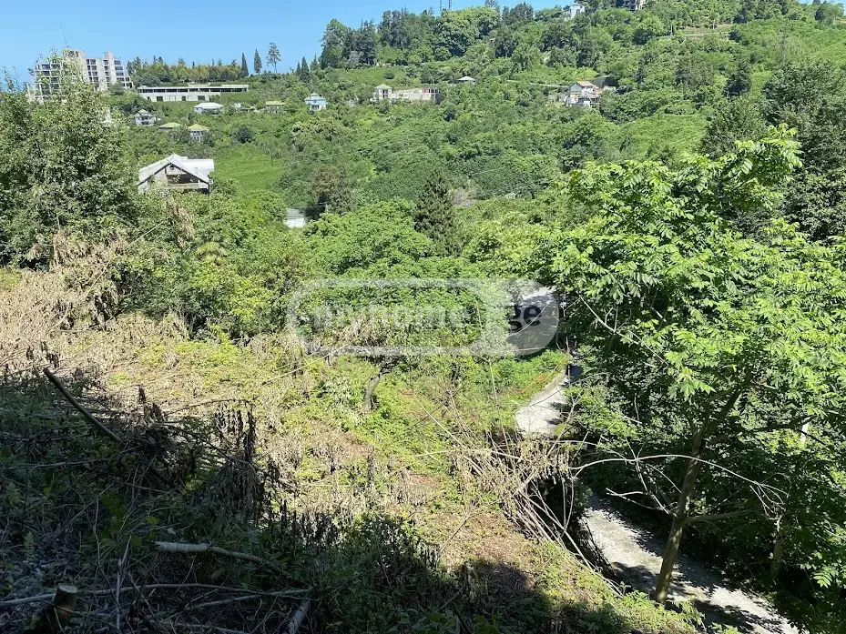 Agricultural Plot For Sale In Makhinjauri, In Batumi view 8