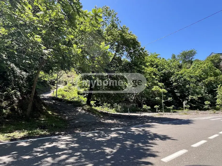 Agricultural Plot For Sale In Makhinjauri, In Batumi view 1