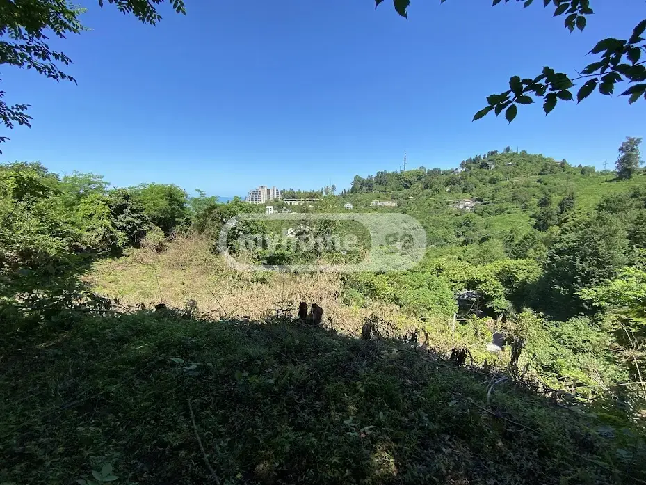 Agricultural Plot For Sale In Makhinjauri, In Batumi view 4