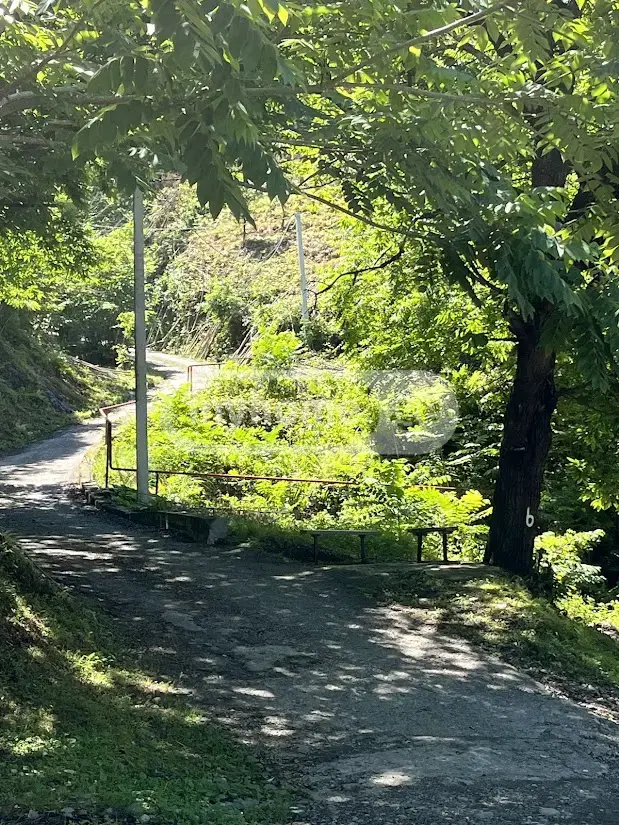 Agricultural Plot For Sale In Makhinjauri, In Batumi view 3