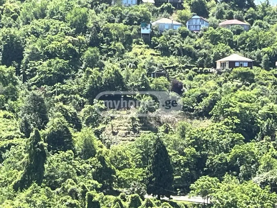 Agricultural Plot For Sale In Makhinjauri, In Batumi view 2