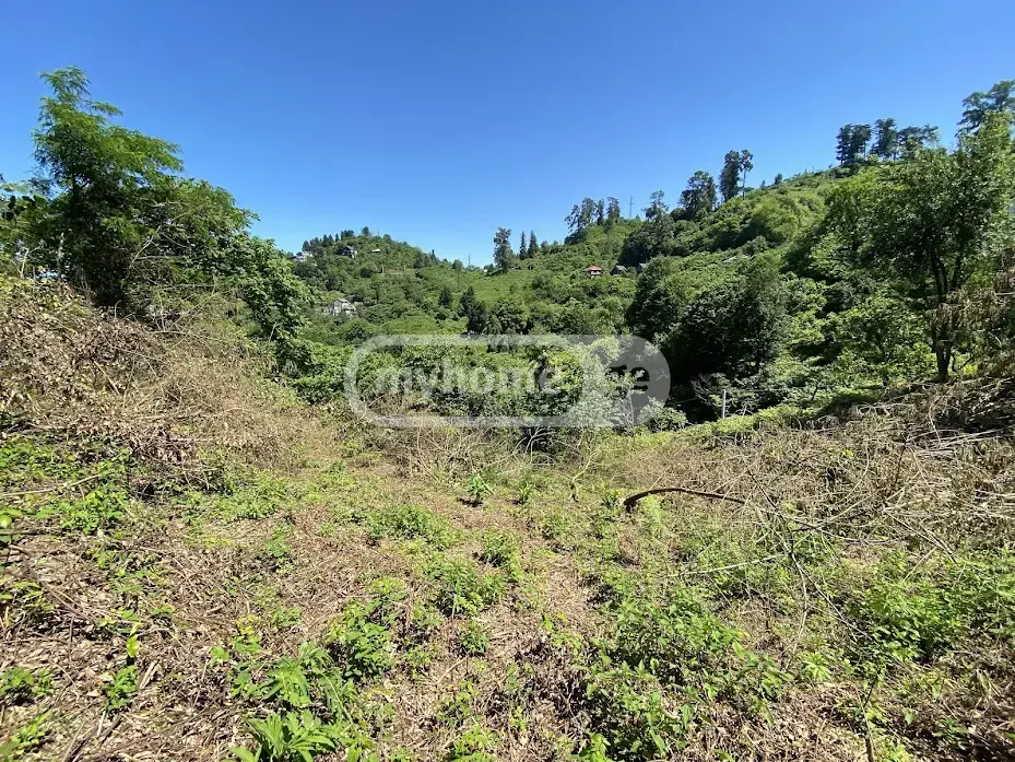 Agricultural Plot For Sale In Makhinjauri, In Batumi view 10