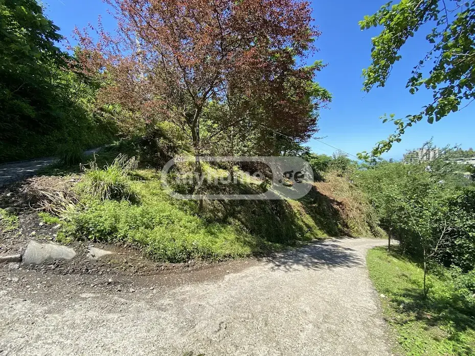 Agricultural Plot For Sale In Makhinjauri, In Batumi view 9