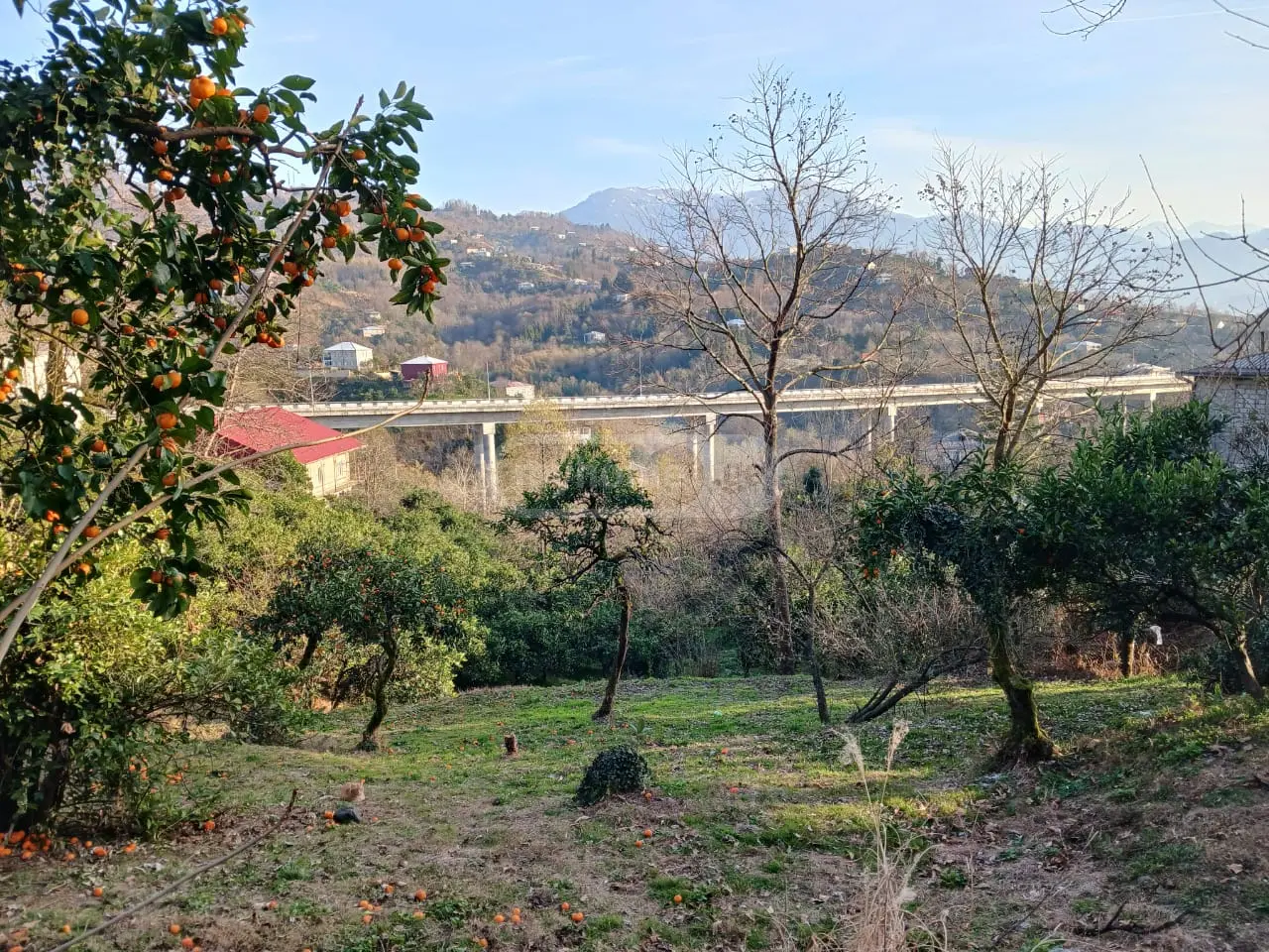 Agricultural Plot For Sale In Makhinjauri, In Batumi view 1