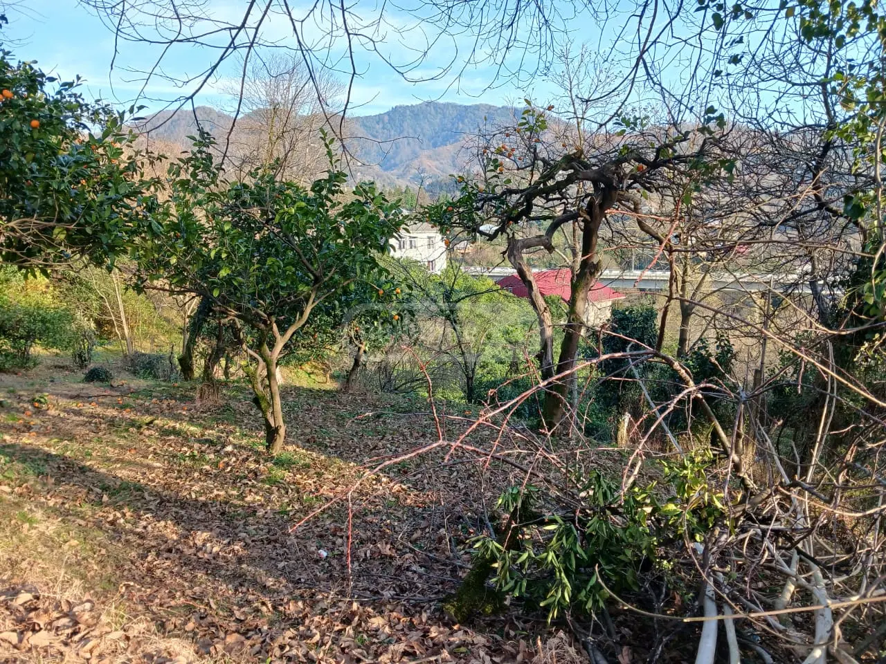 Agricultural Plot For Sale In Makhinjauri, In Batumi view 2