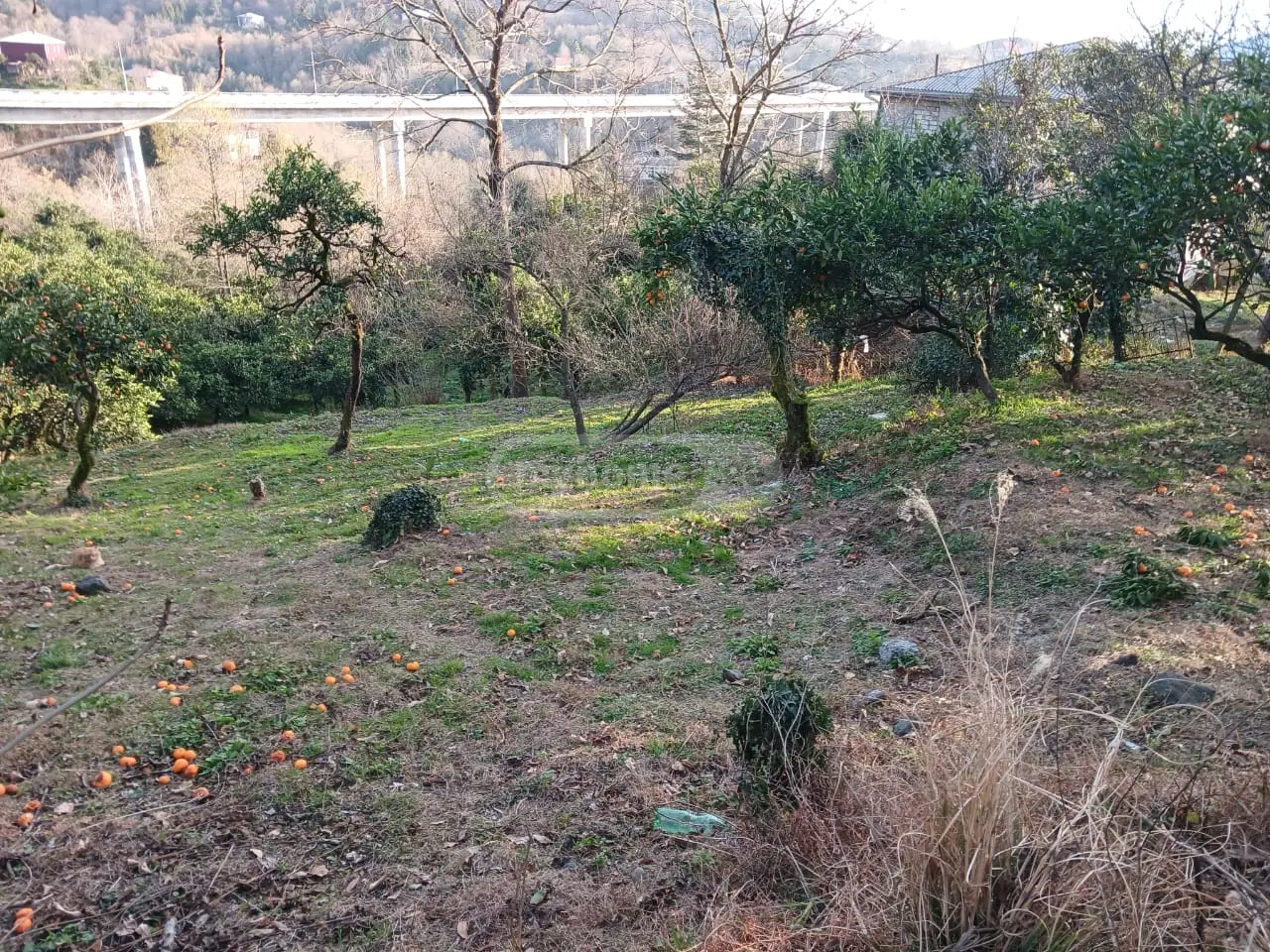 Agricultural Plot For Sale In Makhinjauri, In Batumi view 5