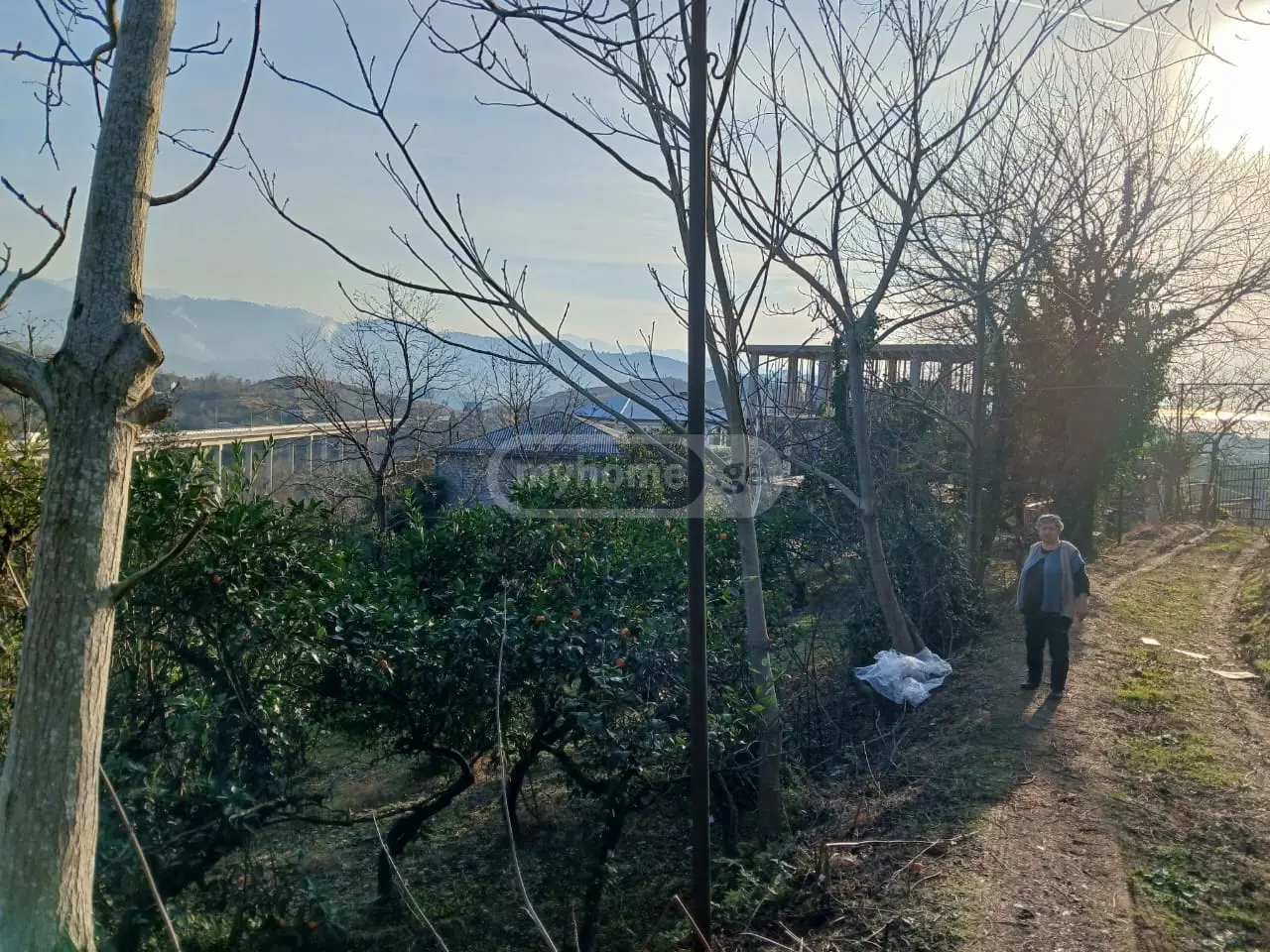 Agricultural Plot For Sale In Makhinjauri, In Batumi view 3