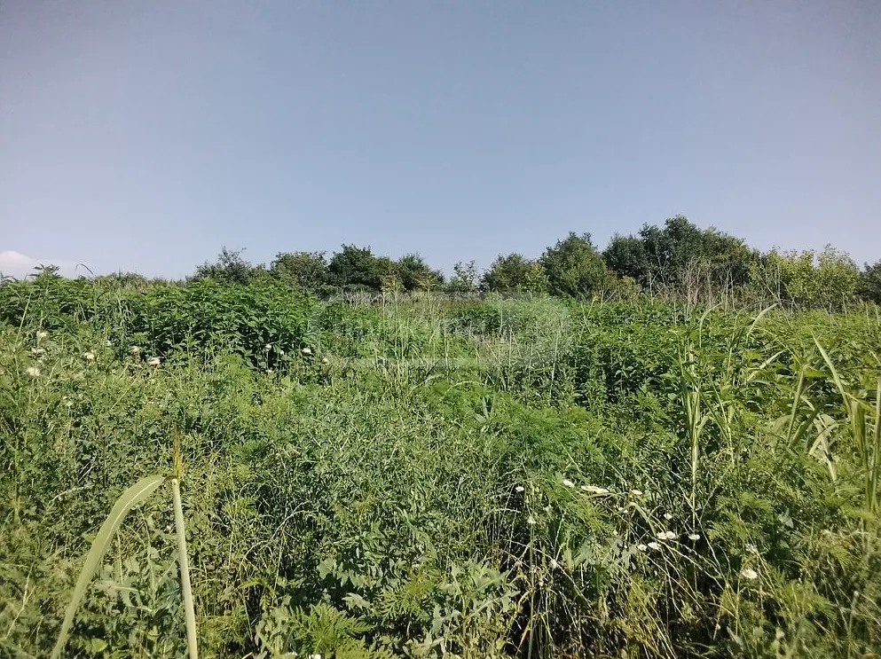 Agricultural Plot For Sale In Gurjaani view 3