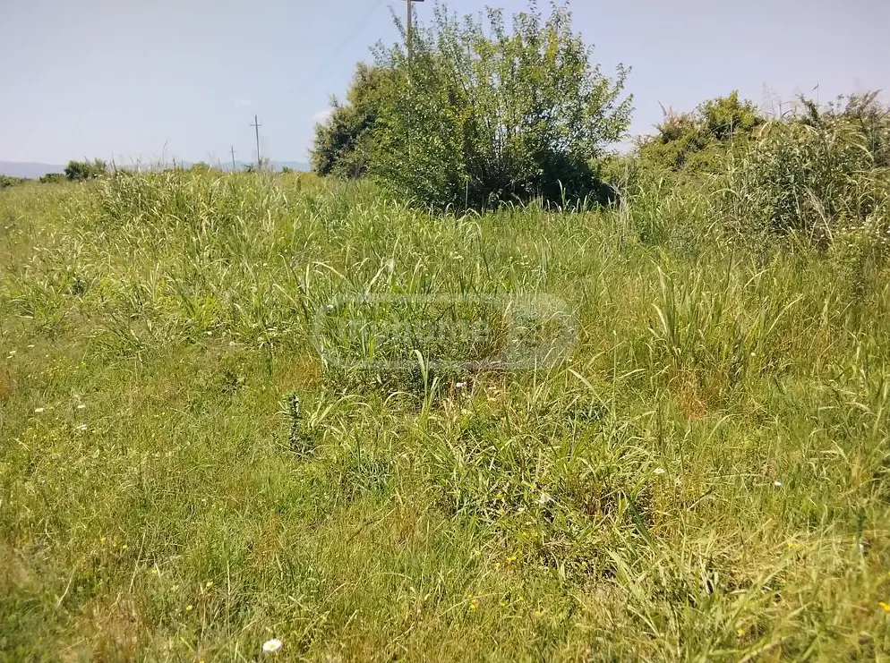 Agricultural Plot For Sale In Gurjaani view 1