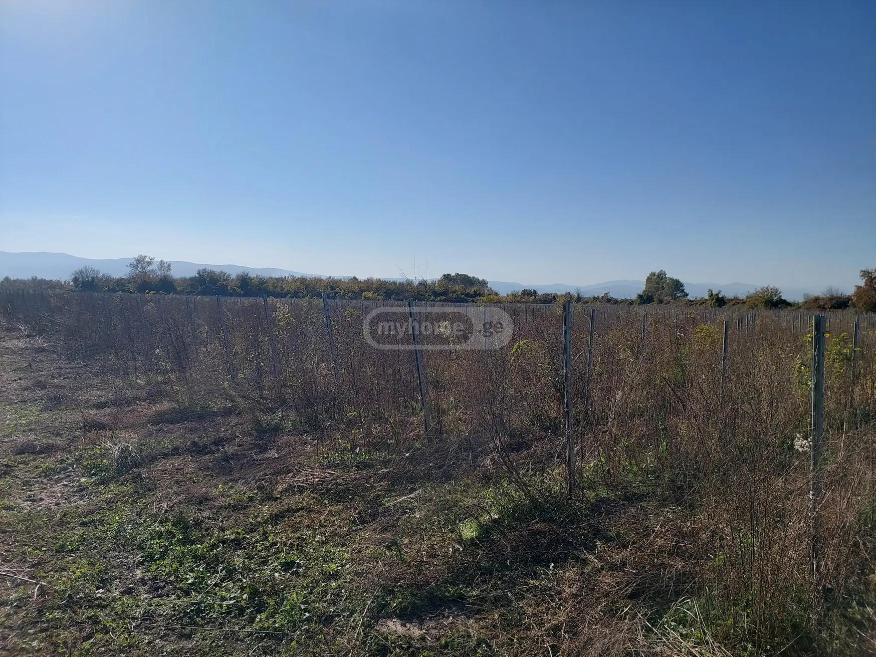იყიდება Agricultural Plot In Gurjaaniში view 4