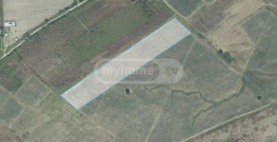 იყიდება Agricultural Plot In Gurjaani (Village), In Gurjaaniში view 3