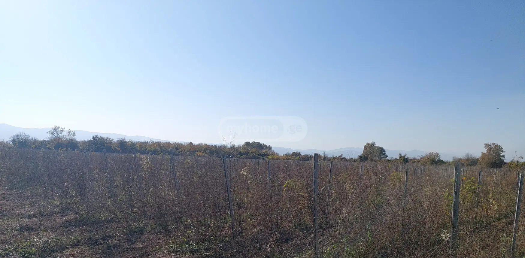 იყიდება Agricultural Plot In Gurjaaniში view 3