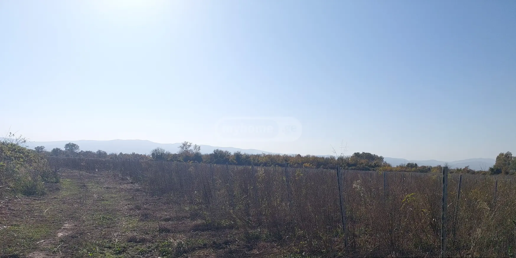 იყიდება Agricultural Plot In Gurjaaniში view 2