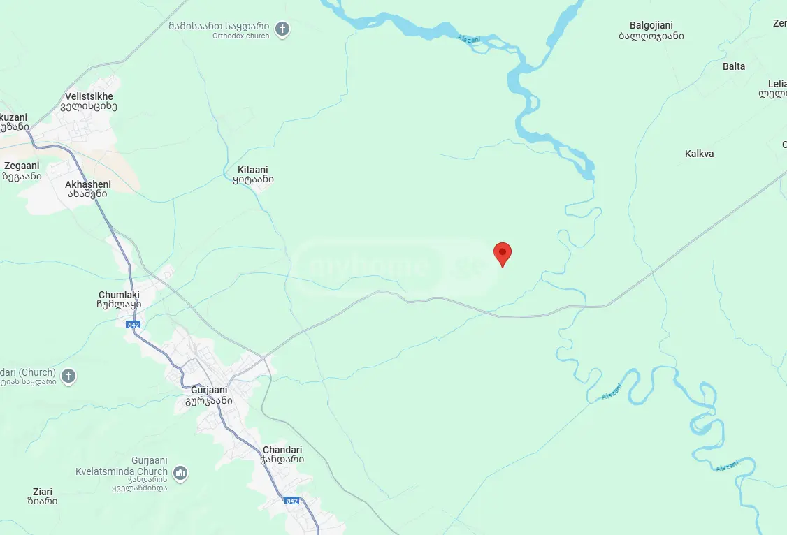 Agricultural Plot For Sale In Gurjaani view 6