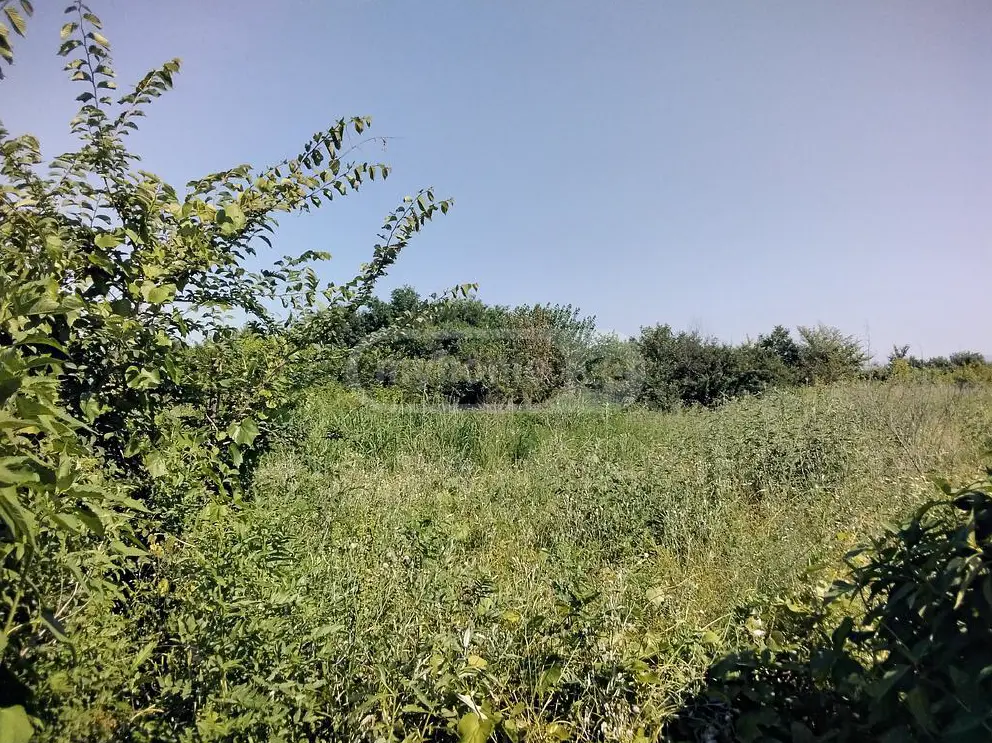Agricultural Plot For Sale In Gurjaani view 4