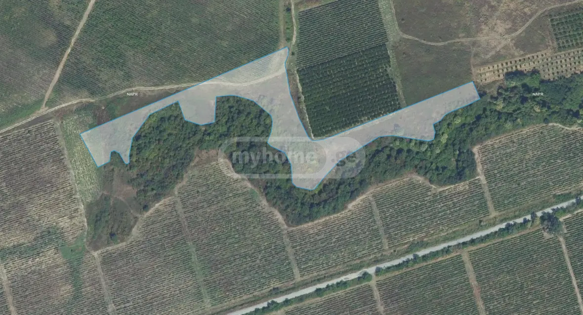 Agricultural Plot For Sale In Gurjaani view 5