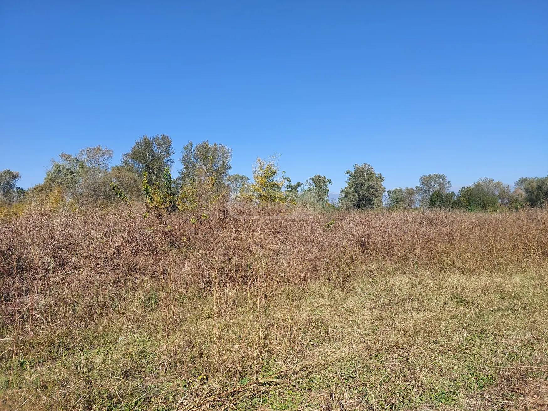 Agricultural Plot For Sale In Gurjaani view 1