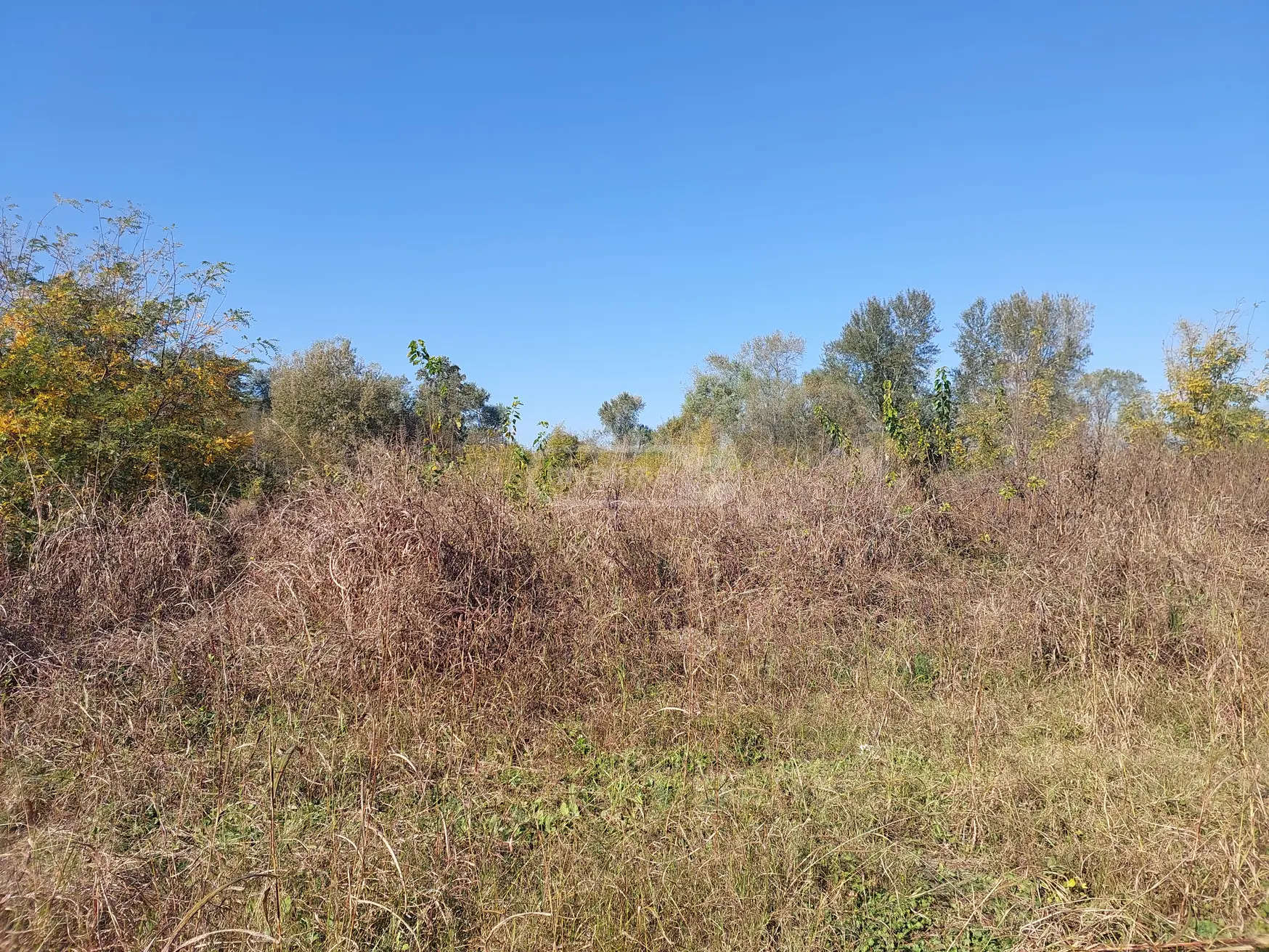 Agricultural Plot For Sale In Gurjaani view 3