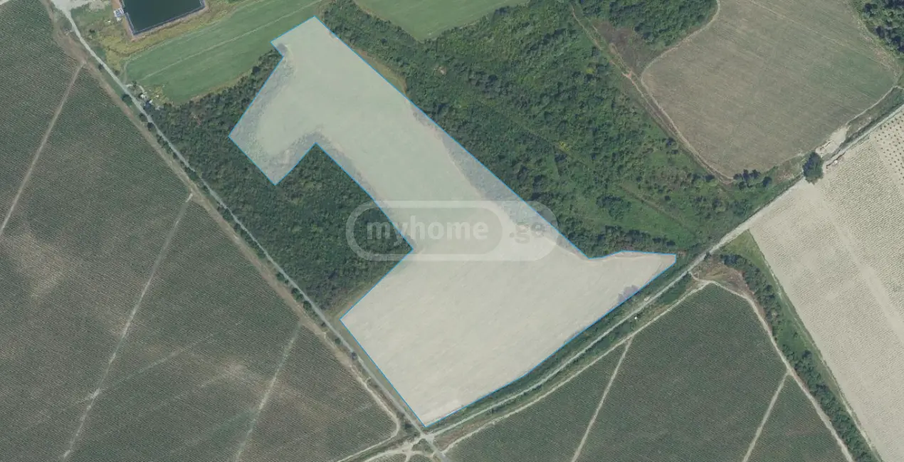 Agricultural Plot For Sale In Gurjaani view 4