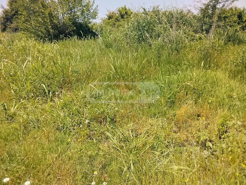 Agricultural Plot For Sale In Gurjaani view 3