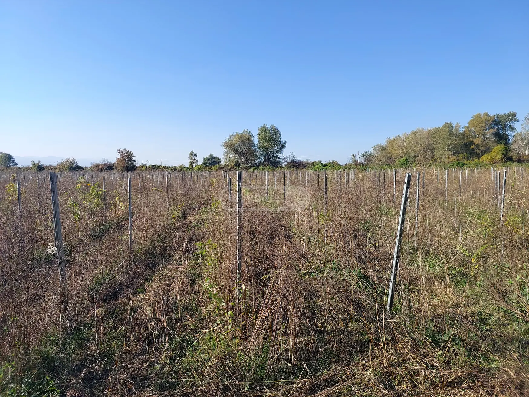 იყიდება Agricultural Plot In Gurjaaniში view 1