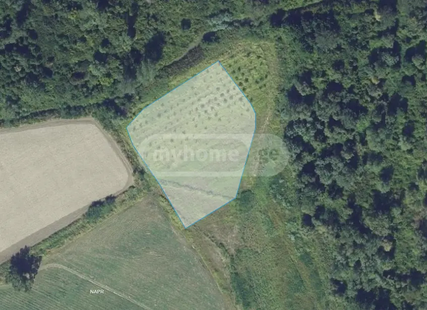 Agricultural Plot For Sale In Gurjaani view 4