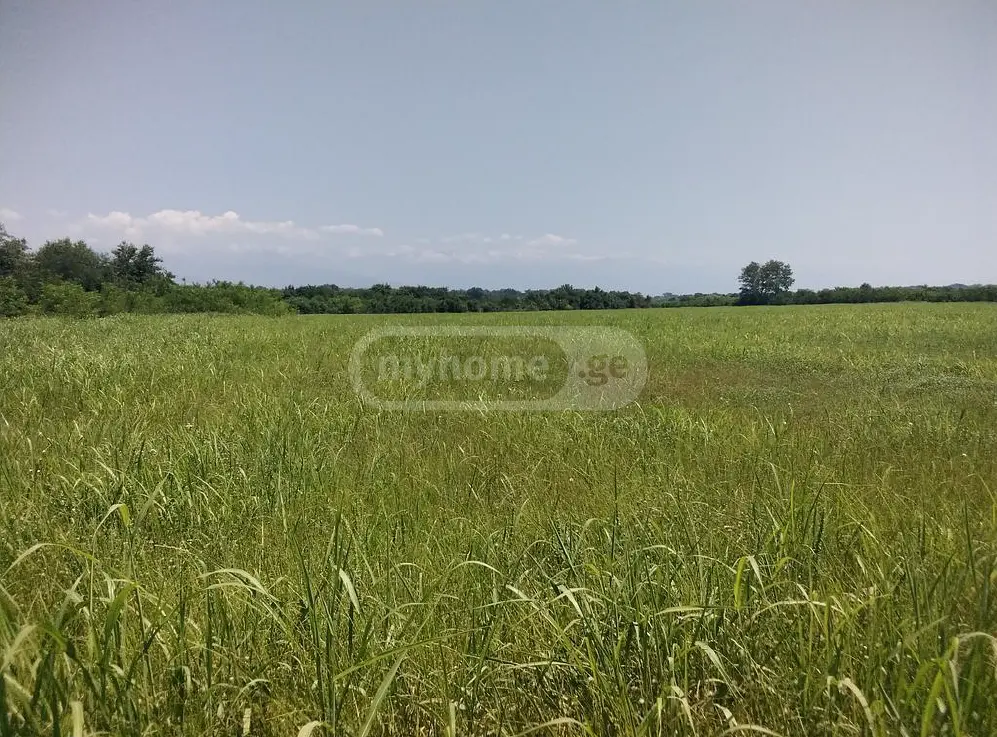 Agricultural Plot For Sale In Gurjaani view 2
