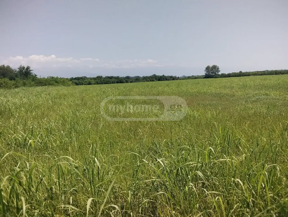 Agricultural Plot For Sale In Gurjaani view 3
