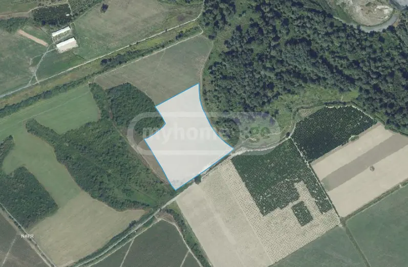 იყიდება Agricultural Plot In Gurjaaniში view 5