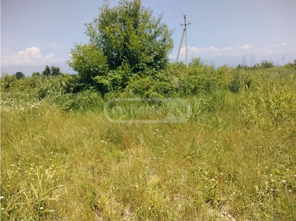 Agricultural Plot For Sale In Gurjaani view 2