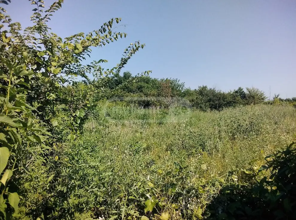 Agricultural Plot For Sale In Gurjaani view 2