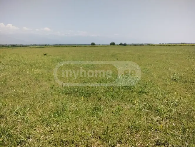 Agricultural Plot For Sale In Gurjaani (Village), In Gurjaani view 1