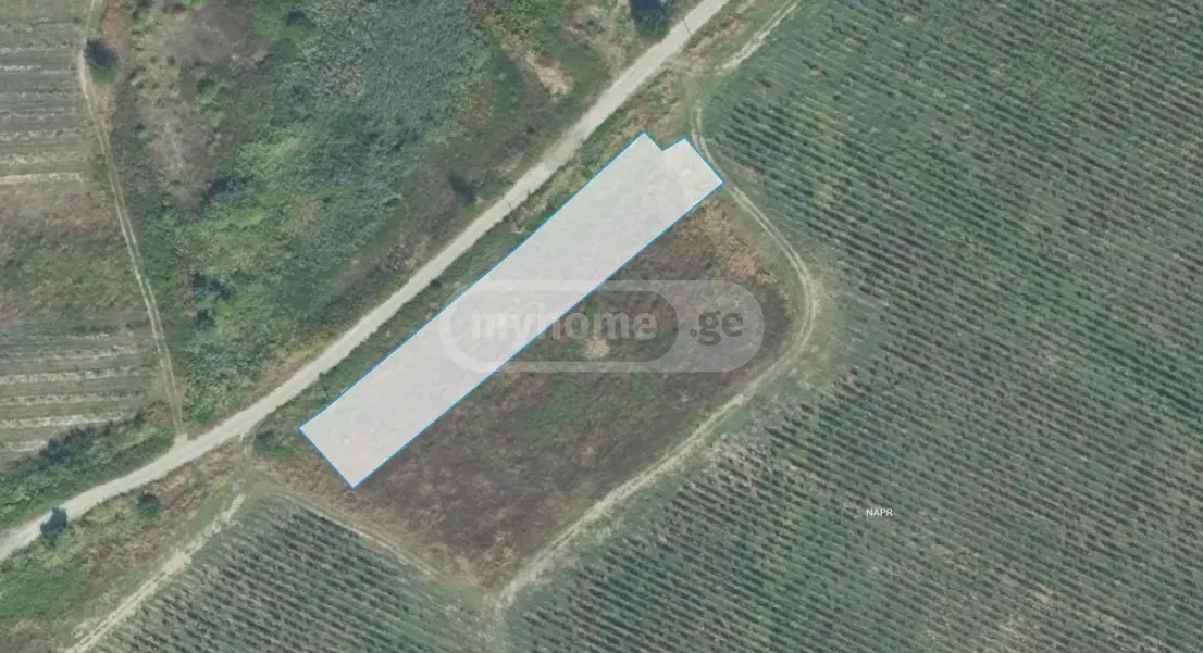 Agricultural Plot For Sale In Gurjaani view 4