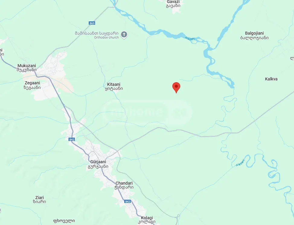 Agricultural Plot For Sale In Gurjaani (Village), In Gurjaani view 5